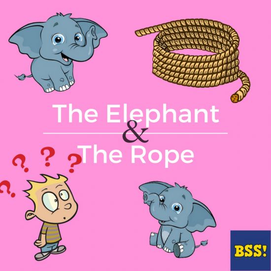 The Elephant And The Rope - Bedtimeshortstories