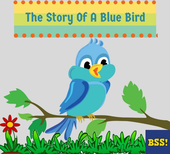 The Story Of A Blue Bird - Bedtimeshortstories