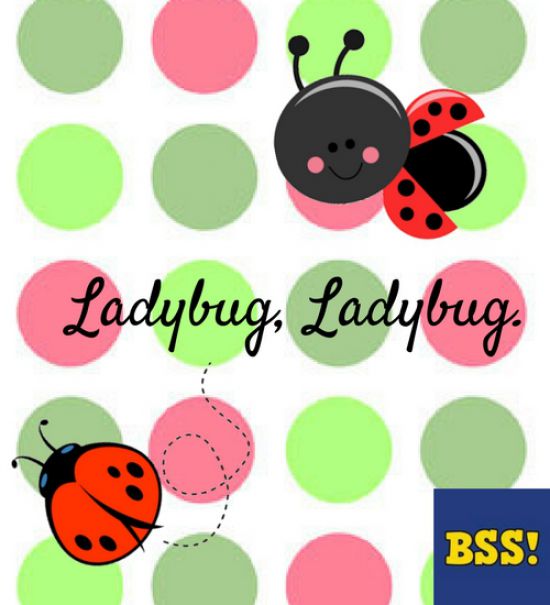 ladybug ladybug