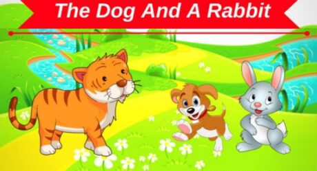 very short story about animals Archives - Bedtimeshortstories very short story about animals Archives - Bedtimeshortstories