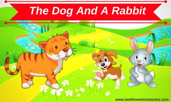 The Dog And The Rabbit - Bedtimeshortstories