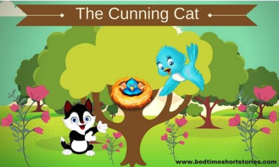 the cunning cat story