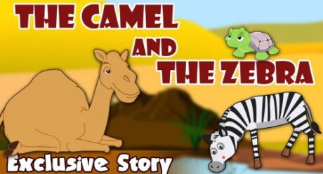 Animal Stories Archives - Bedtimeshortstories Animal Stories Archives - Bedtimeshortstories