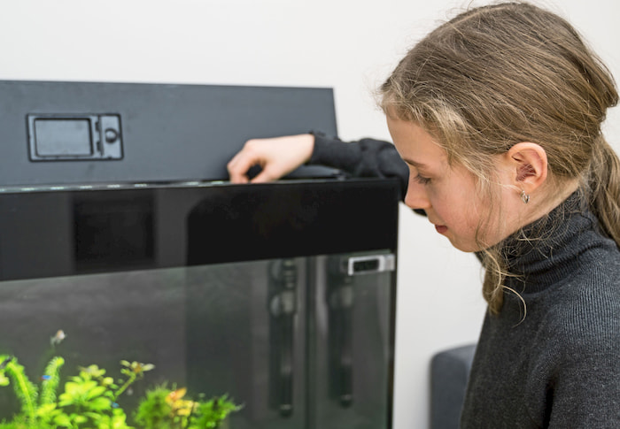 aquarium ideas